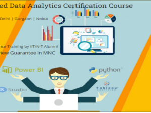 Data Analyst Course in Delhi.110051. Best Online