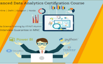 Data Analyst Course in Delhi.110051. Best Online